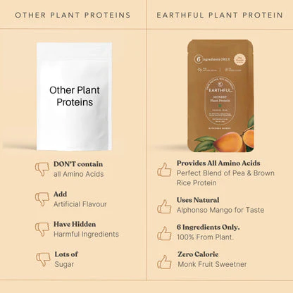 Alphonso Mango Protein Single Sachet - Image 4