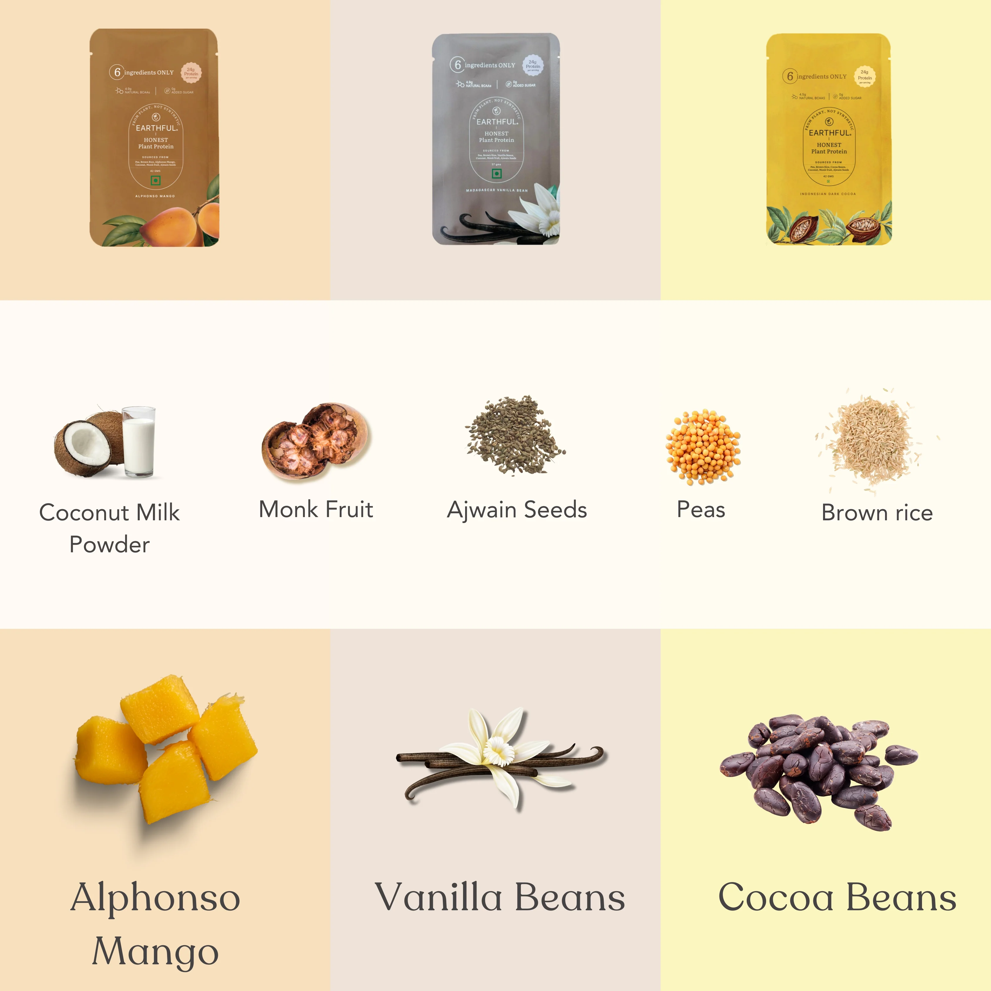 Honest Plant Protein - Assorted Pack - Image 6