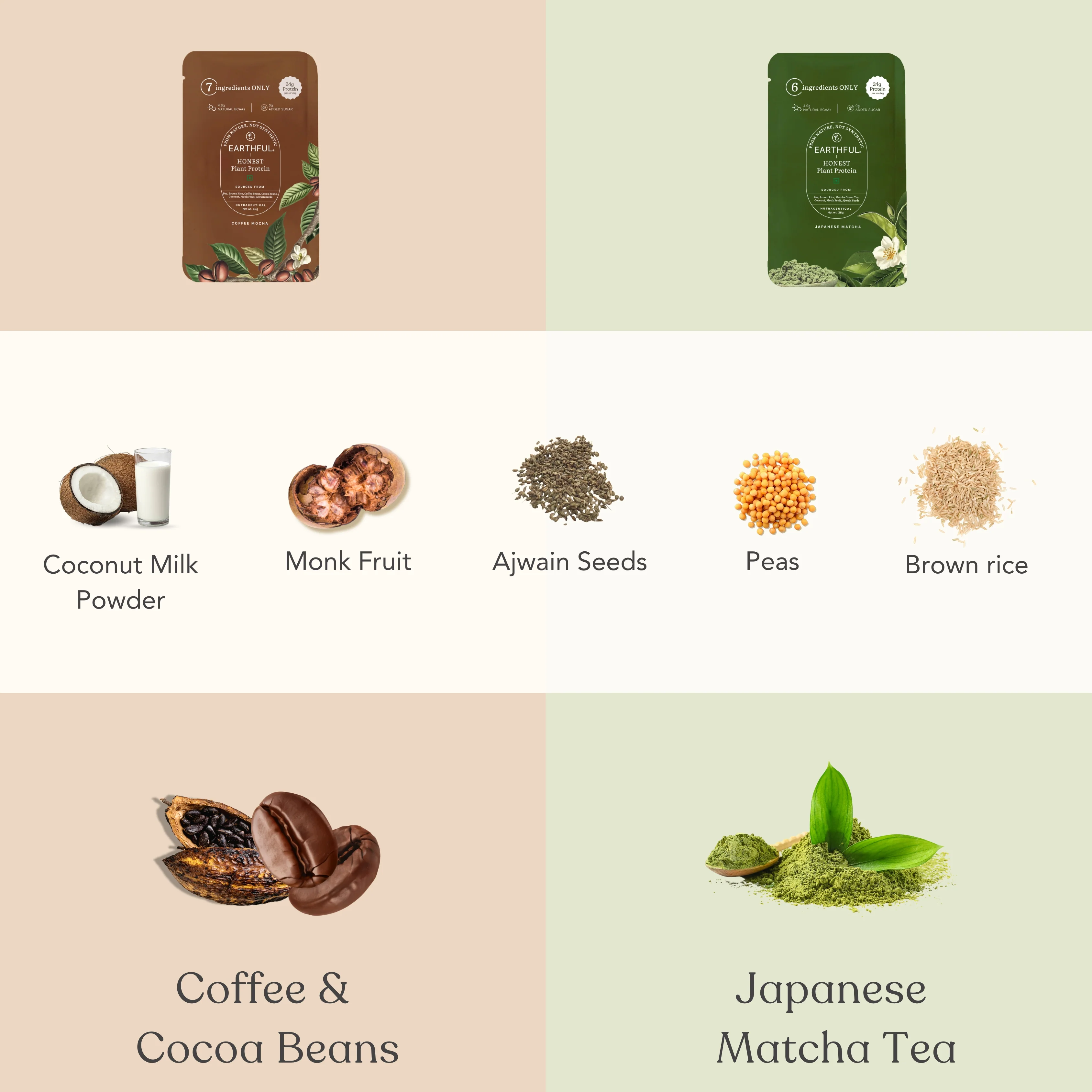 Honest Plant Protein - Assorted Pack - Image 7