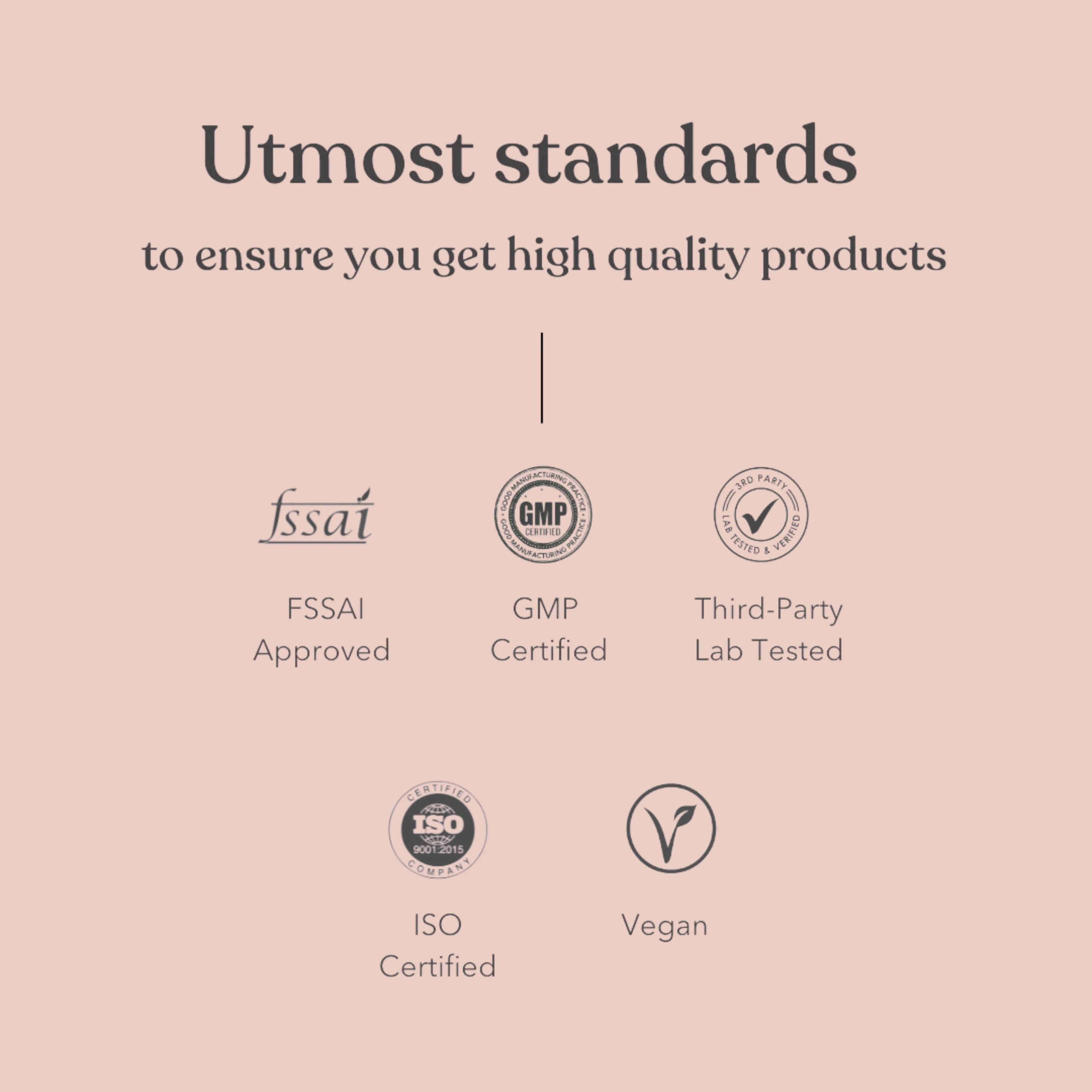 Honest Plant Protein - Berry Blast - Image 12