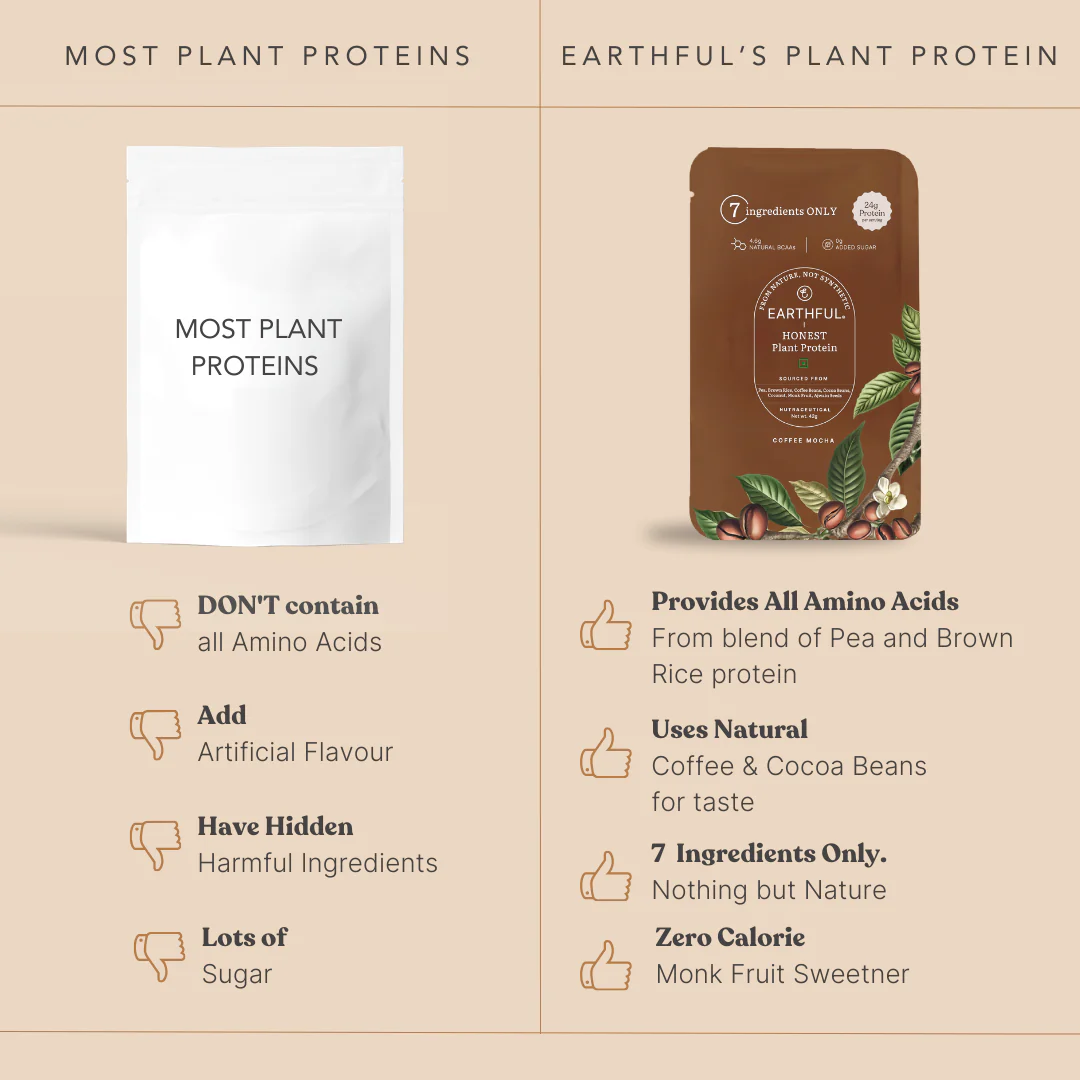 Honest Plant Protein - Coffee Mocha - Image 12