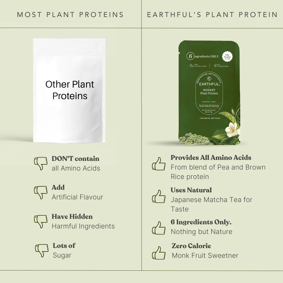 Honest Plant Protein - Japanese Matcha - Image 13