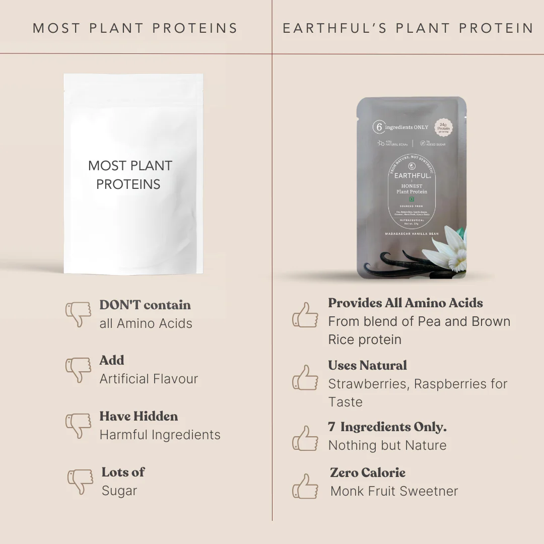 Honest Plant Protein- Madagascar Vanilla - Image 11