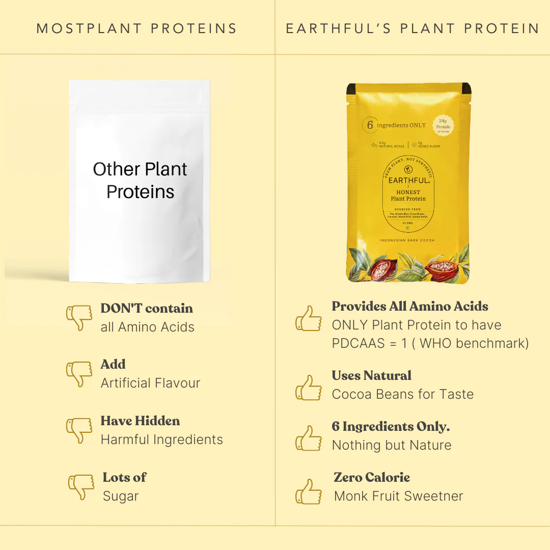 Honest Plant Protein - Indonesian Cocoa - Image 14
