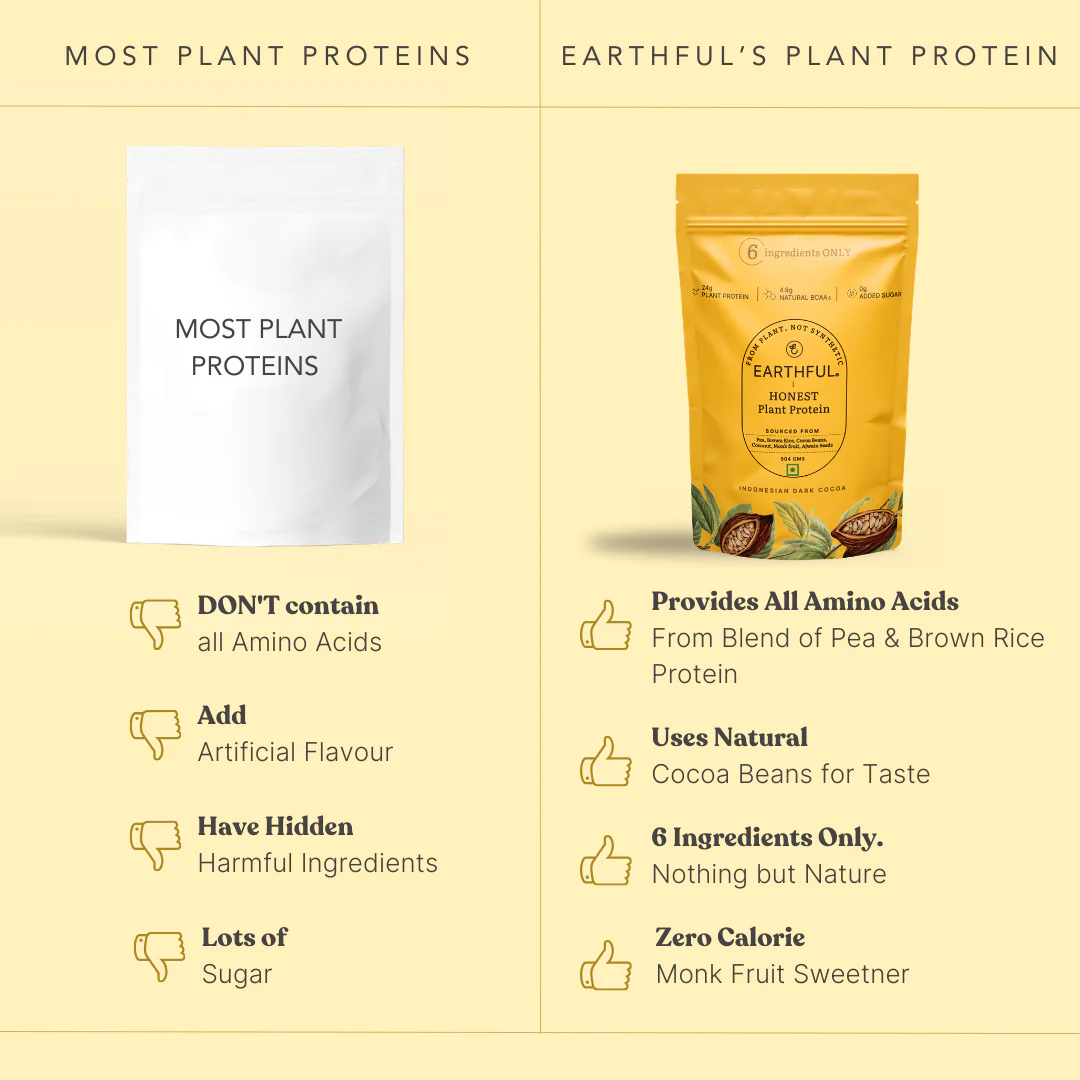 Honest Plant Protein - Indonesian Cocoa - Image 4